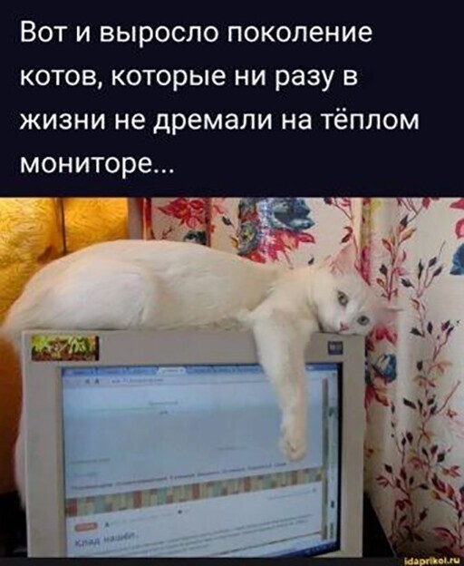 Смешные и познавательные картинки