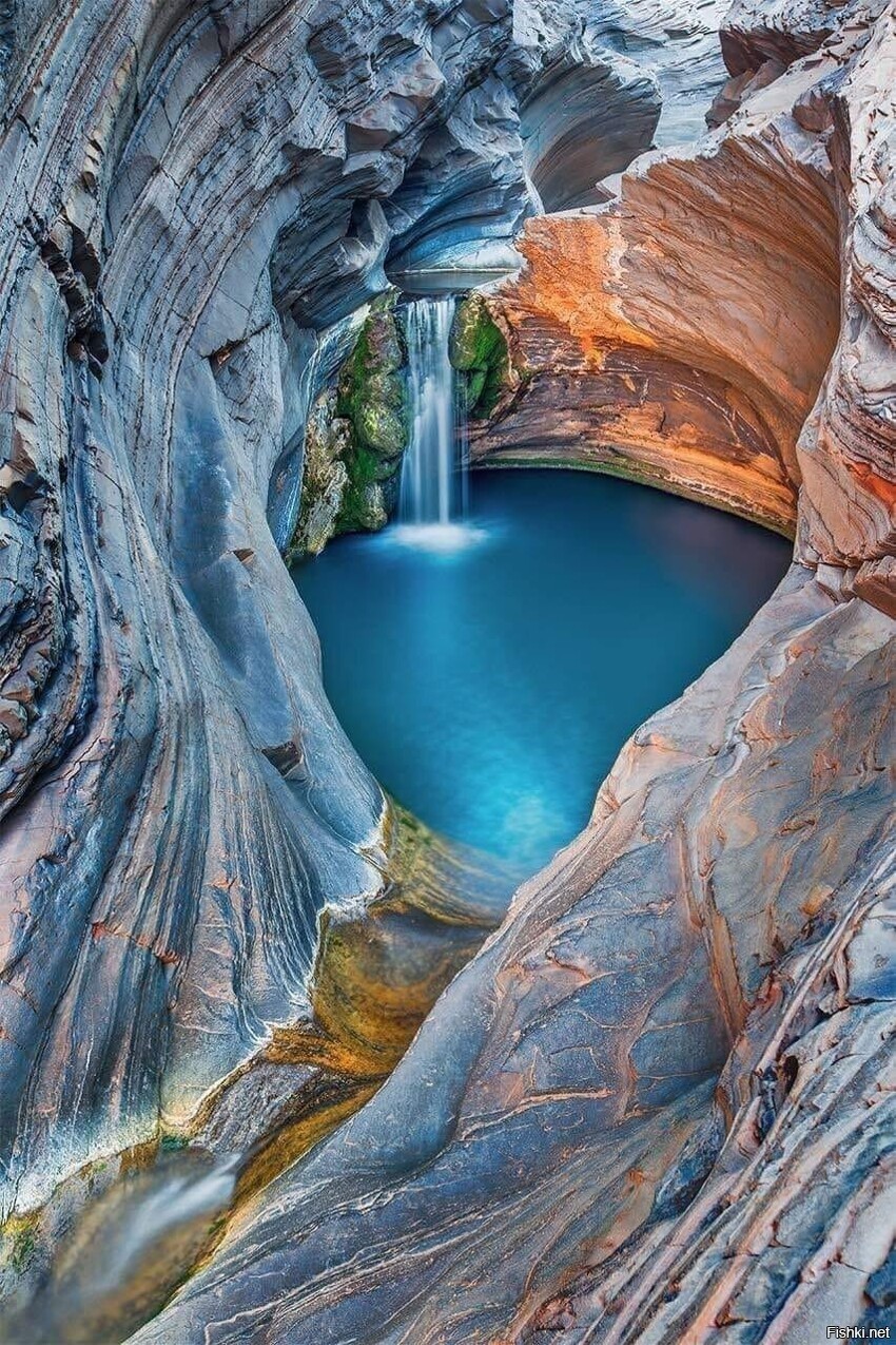 бассейн ущелья Хармерсли в Национальном парке Кариджини, Западная Австралия