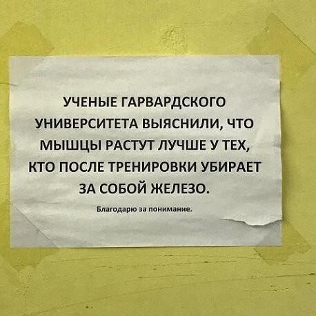 19 забавных объявлений, составители которых достигли особого мастерства