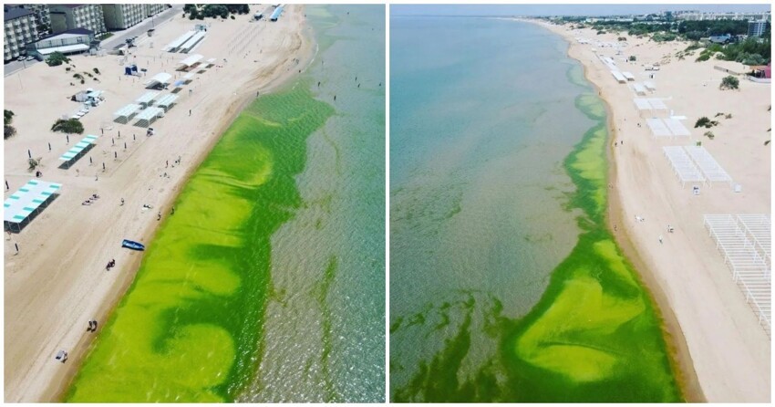 Цветение моря в Анапе на пляже Джемете: найти чистую воду без водорослей не так-то просто сейчас