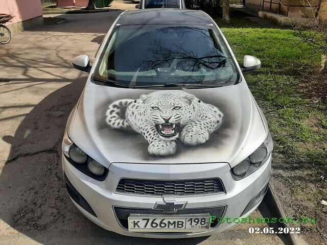 Автовсячина