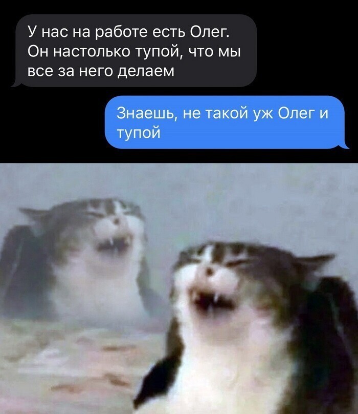 Скрины из соцсетей