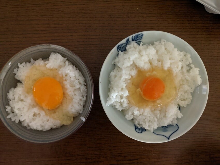 Яйцо из стандартной паковки слева, а справа - дешевое яйцо