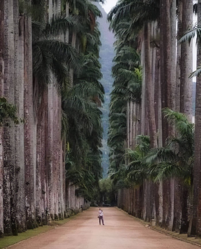 15. Ботанический парк Рио-де-Жанейро, Бразилия. Основанный в 1808 году, он считается одним из самых важных в мире.