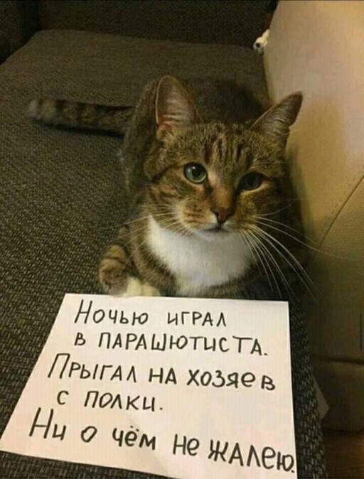 Смешные и познавательные картинки