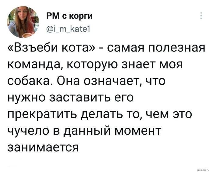 На общую тему