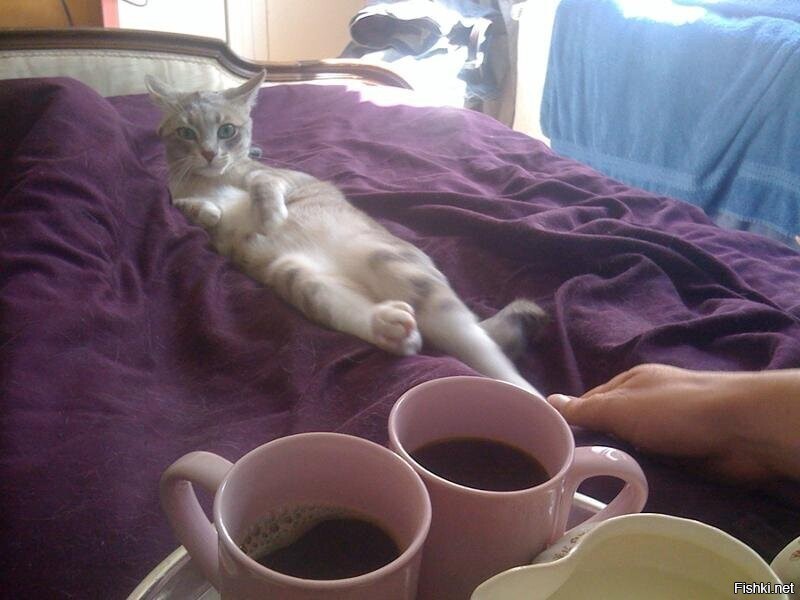 Утренний кофе в постель