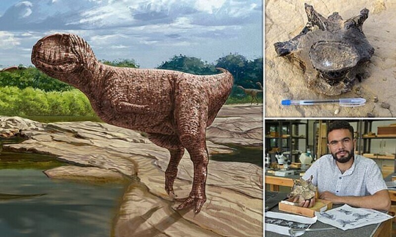 В Египте нашли динозавра-бульдога