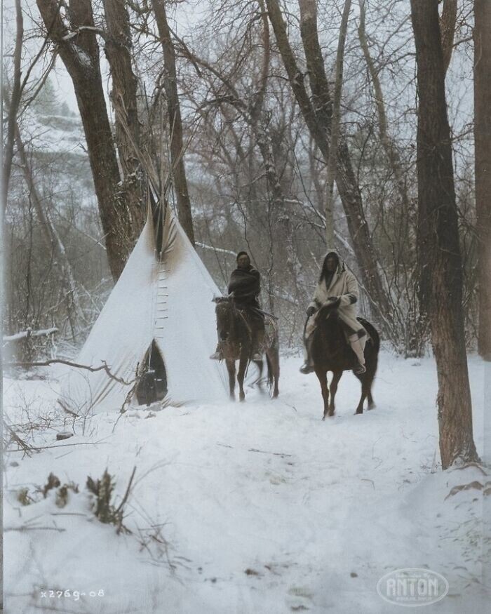 11. Коренные американцы племени апсароке верхом на лошадях у типи в заснеженном лесу в Монтане, 1908 год