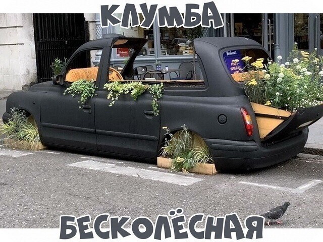 Автовсячина