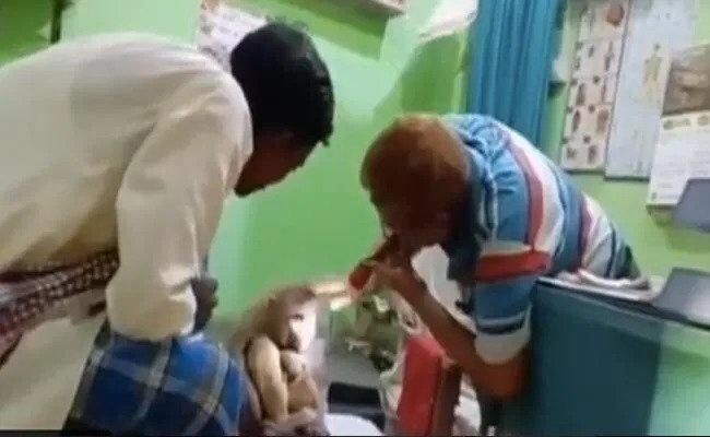 В Индии раненая обезьяна обратилась за помощью в человеческую больницу
