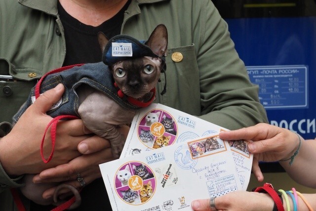 В Петербурге открылась первая в мире кошачья почта