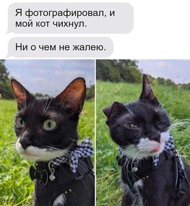 Блин, завтра на работу