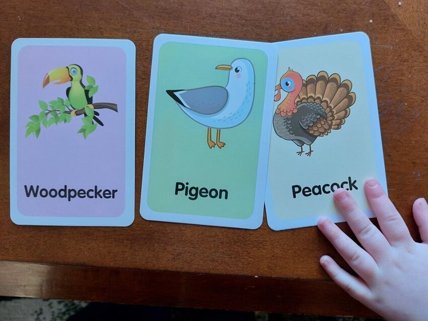 К этим развивающим карточкам для детей явно есть вопросики, ведь на них изображены "Дятел, голубь и павлин".