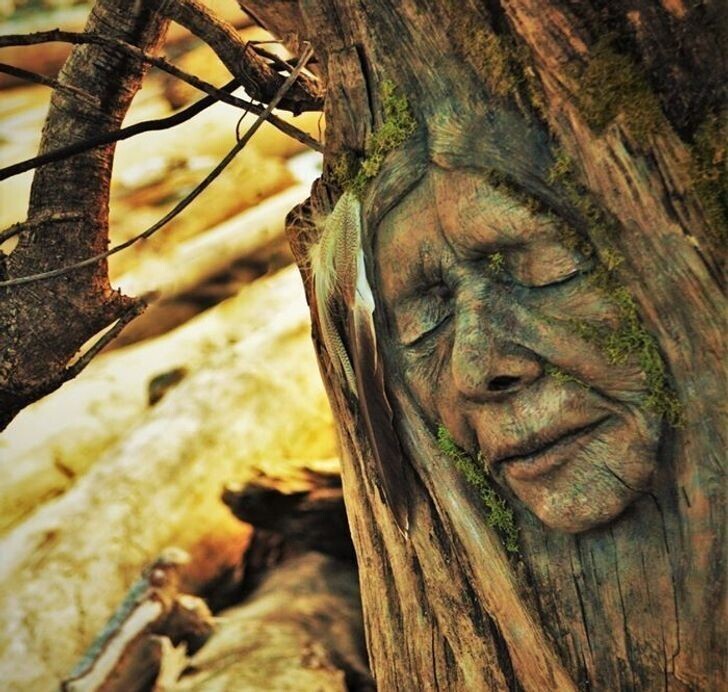 Художник оживляет дерево и рассказывает истории древних духов