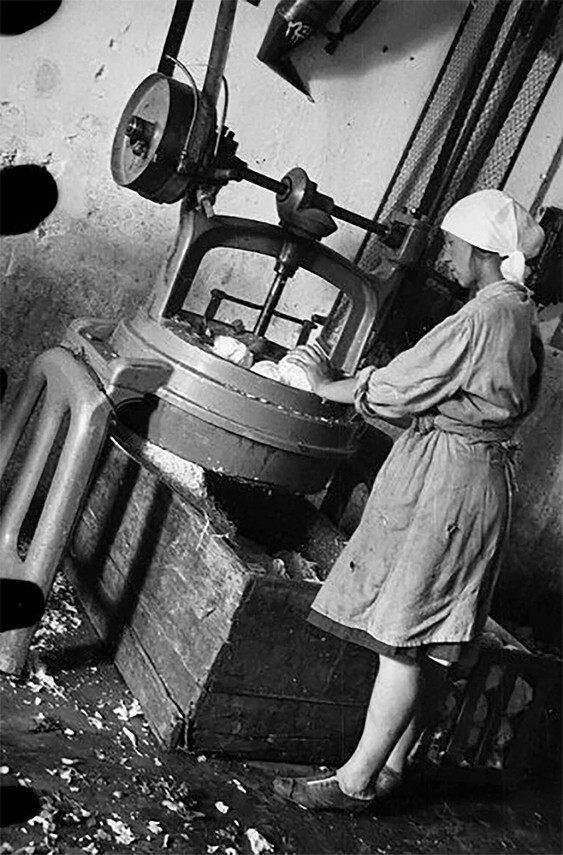 Как фабрики-кухни освободили советских женщин от стояния у плиты