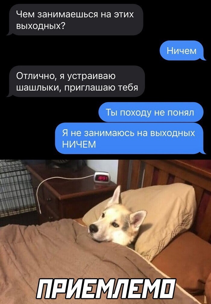 Скрины из соцсетей