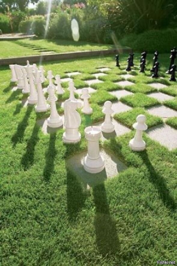 Как вам такие шахматы