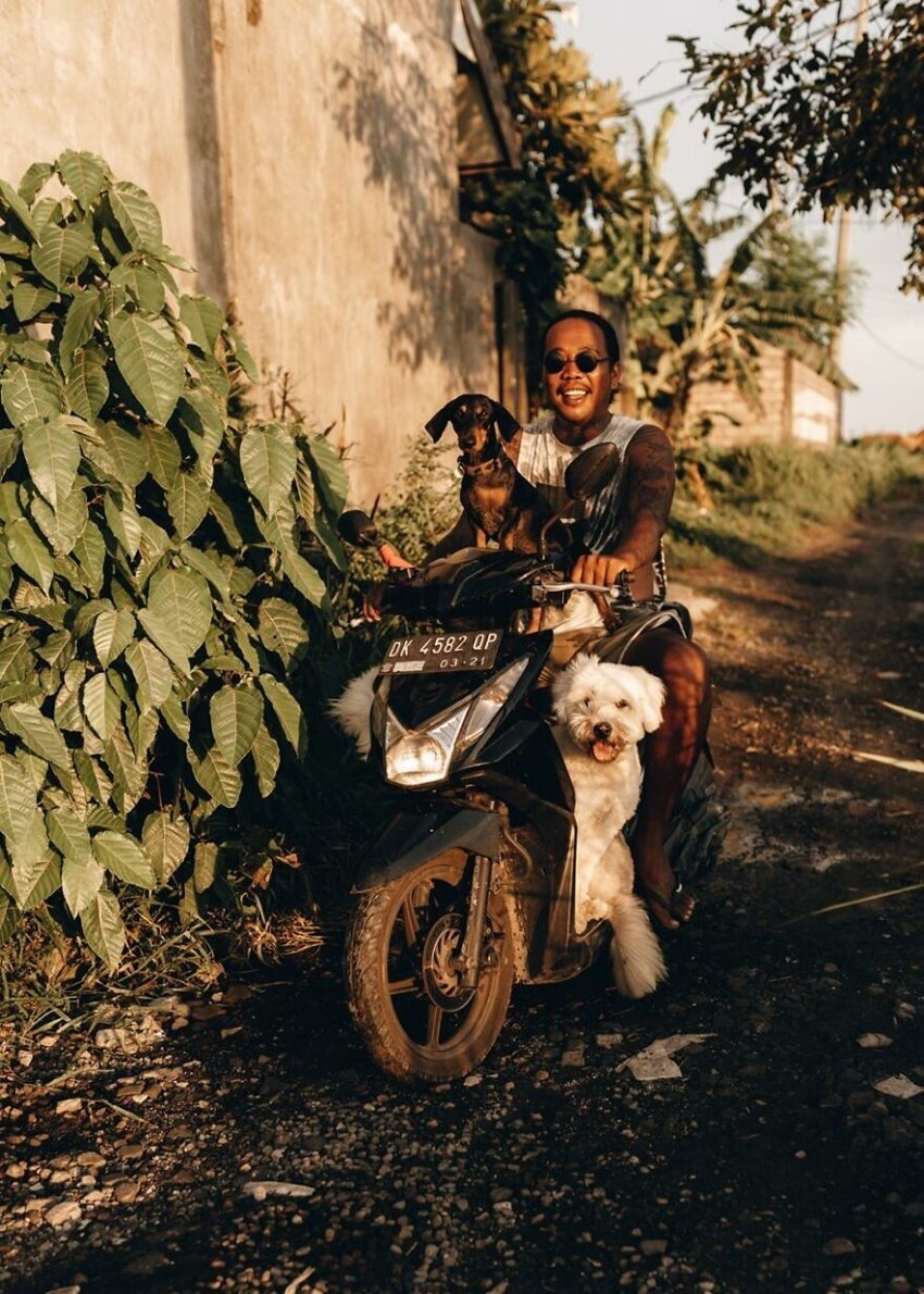 Благотворительная организация на Бали спасла и вылечила собаку с дырой в голове