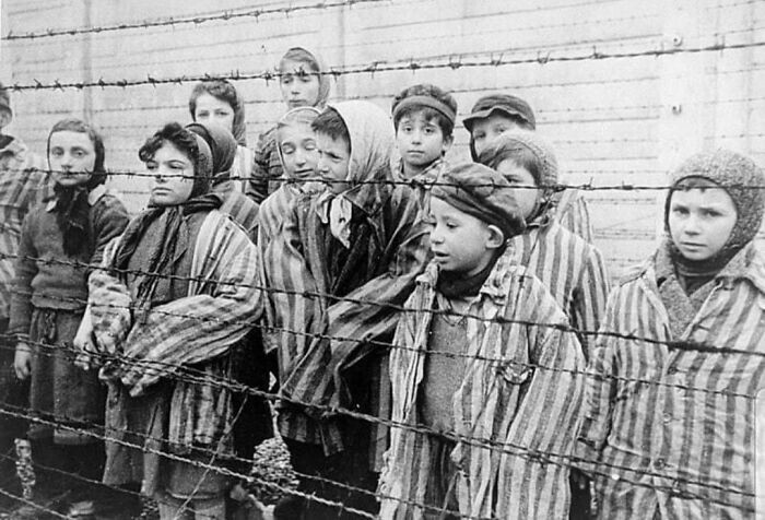 2. Дети, выжившие в Освенциме, после освобождения лагеря 27 января 1945 года