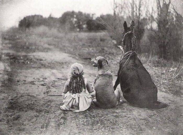 28. Девочка, собака и мул. Кадр из немого фильма 1921 года "Черный ход"