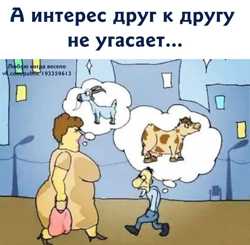 Просто прикольные картинки с надписями