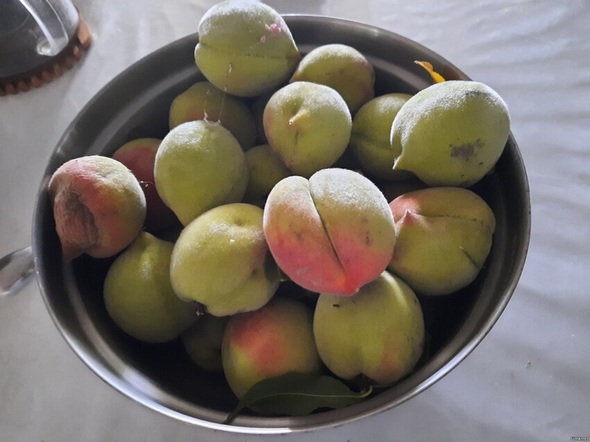 А у меня персик обломался