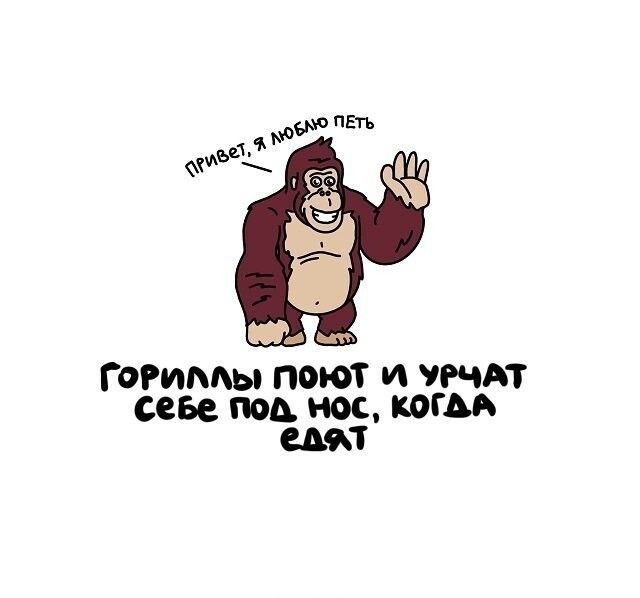 А вдруг ты не знал…