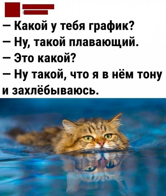 Всё вразнобой