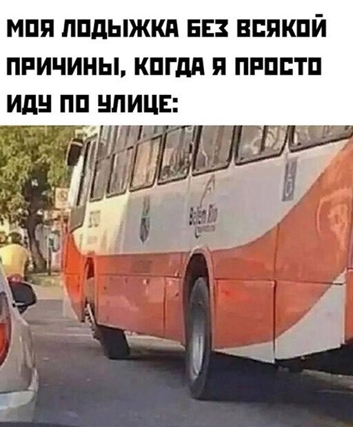 Смешные и познавательные картинки