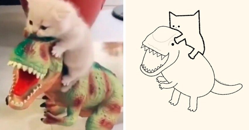 Художник находит фото котов и превращает их в потешные карикатуры