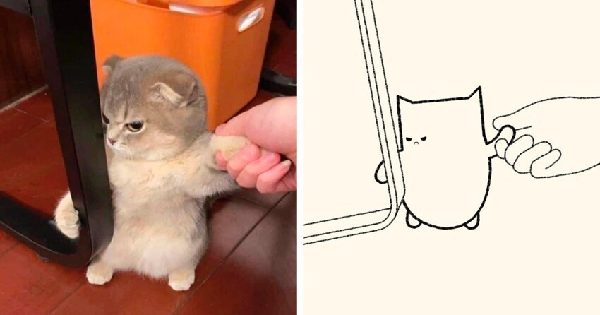 Художник находит фото котов и превращает их в потешные карикатуры