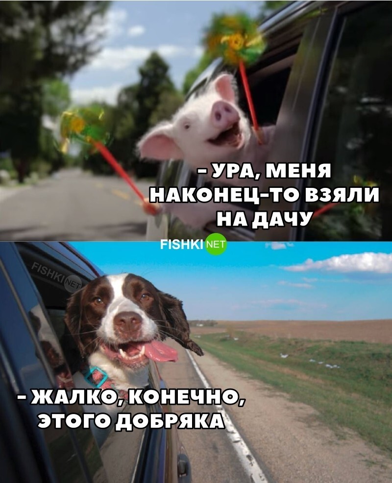 Жалко этого добряка 