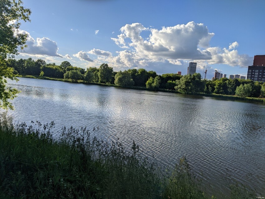 Серебрянно-виноградный пруд, Москва, Измайлово