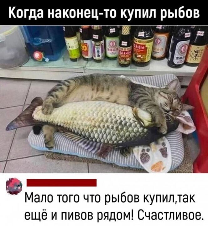 Смешные и познавательные картинки