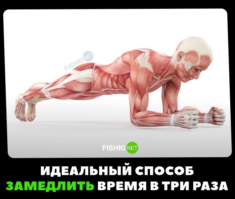 Идеальный способ остановить время