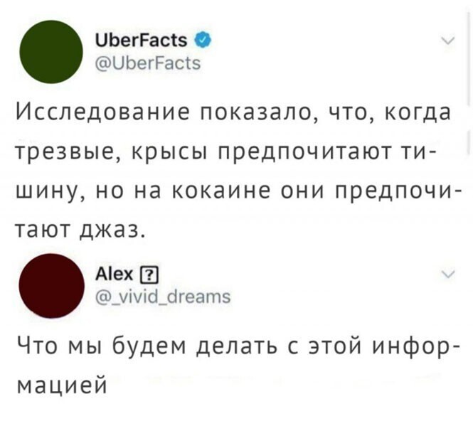 Смешные и познавательные картинки