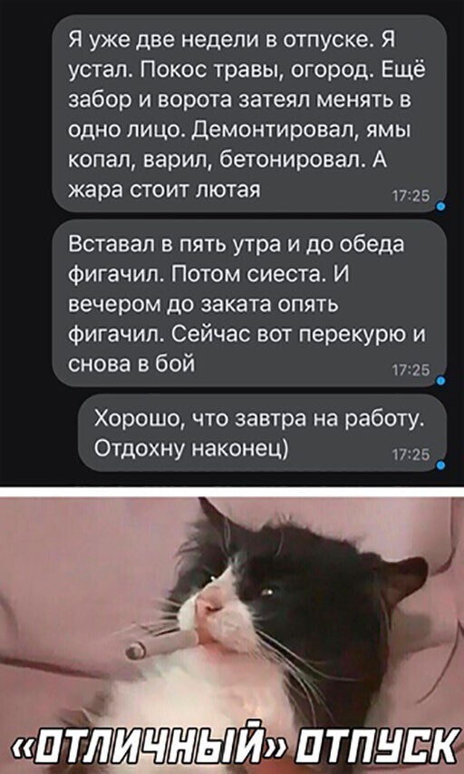 Смешные и познавательные картинки