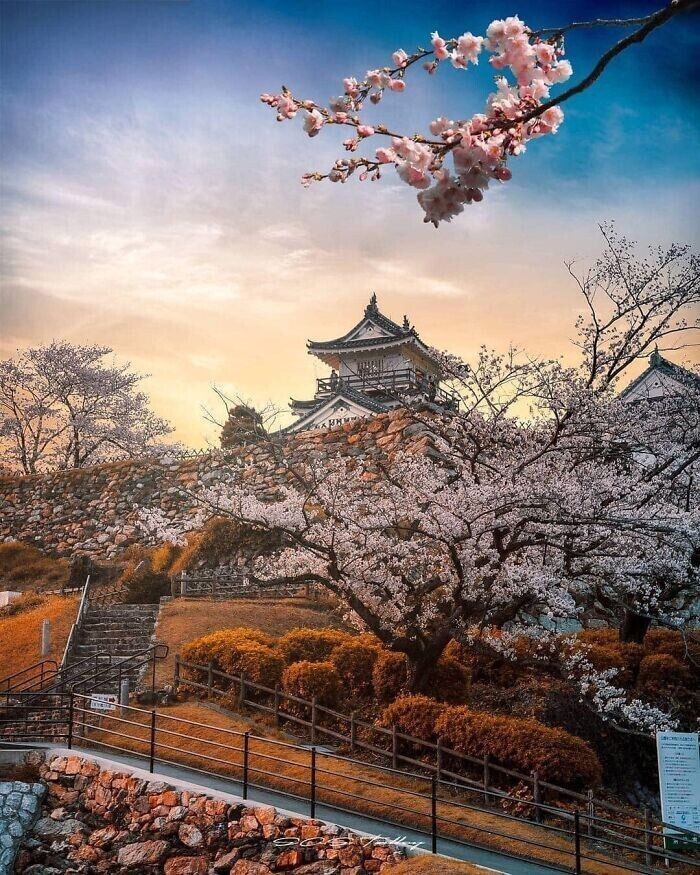 25. Замок Хамамацу, Япония