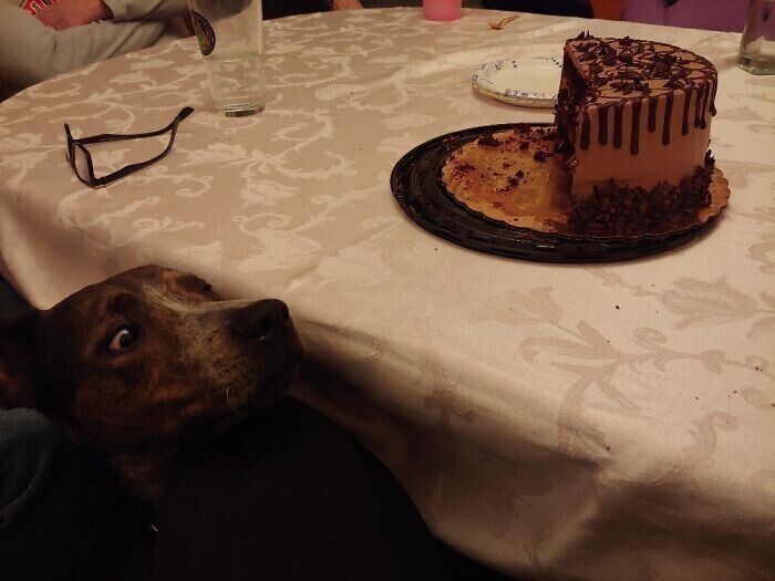 Передайте тортик, пожалуйста!