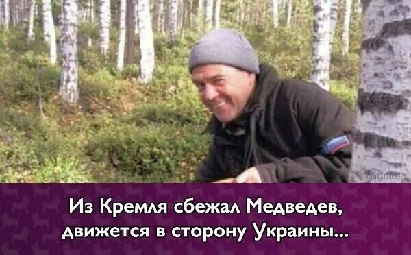 О политике и не только