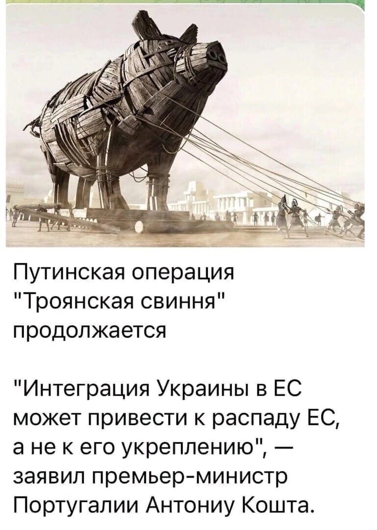 О политике и не только