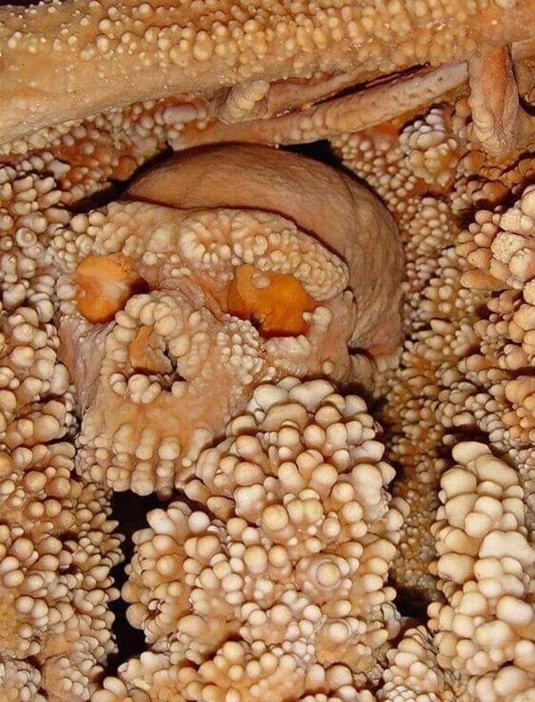 Стены пещеры из песчаника за долгие годы почти поглотили череп