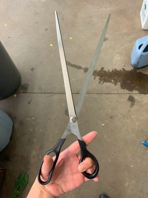 Эти супердлинные ножницы предназначены для разрезания оберточной бумаги