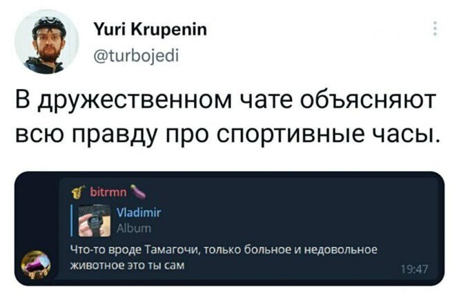 Смешные и познавательные картинки