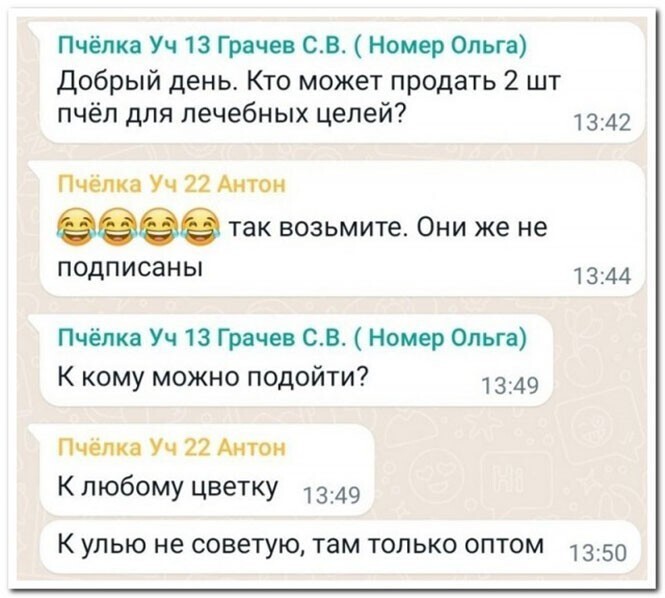 Смешные и познавательные картинки