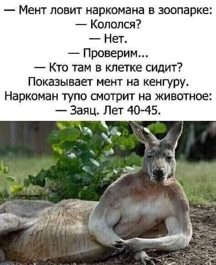 На общую тему