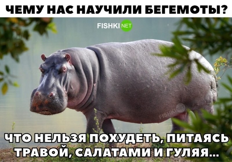 Справедливо 