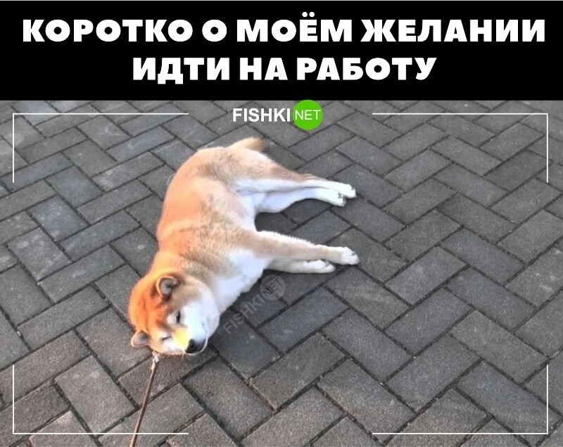 Очень жизненно 