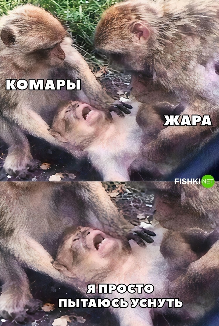 Жизненно 